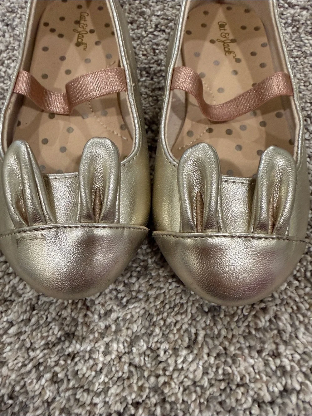 Cat & Jack shimmery metallic